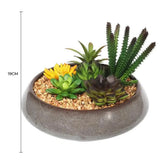 Artificial Potted Plants: Potted Artificial Succulents with Round Decorative Bowl 19cm