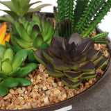 Artificial Potted Plants: Potted Artificial Succulents with Round Decorative Bowl 19cm