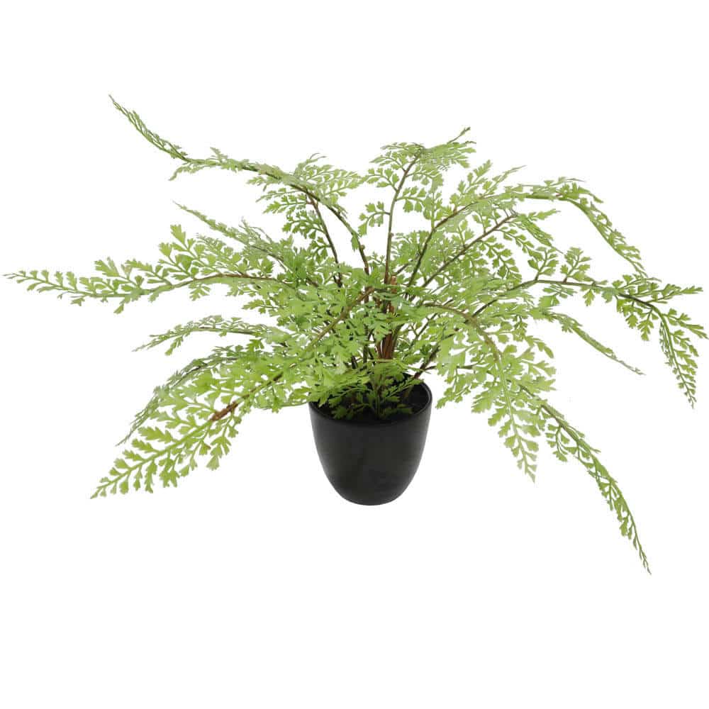 Canopies & Gazebos: Faux Small Potted Fern 35cm