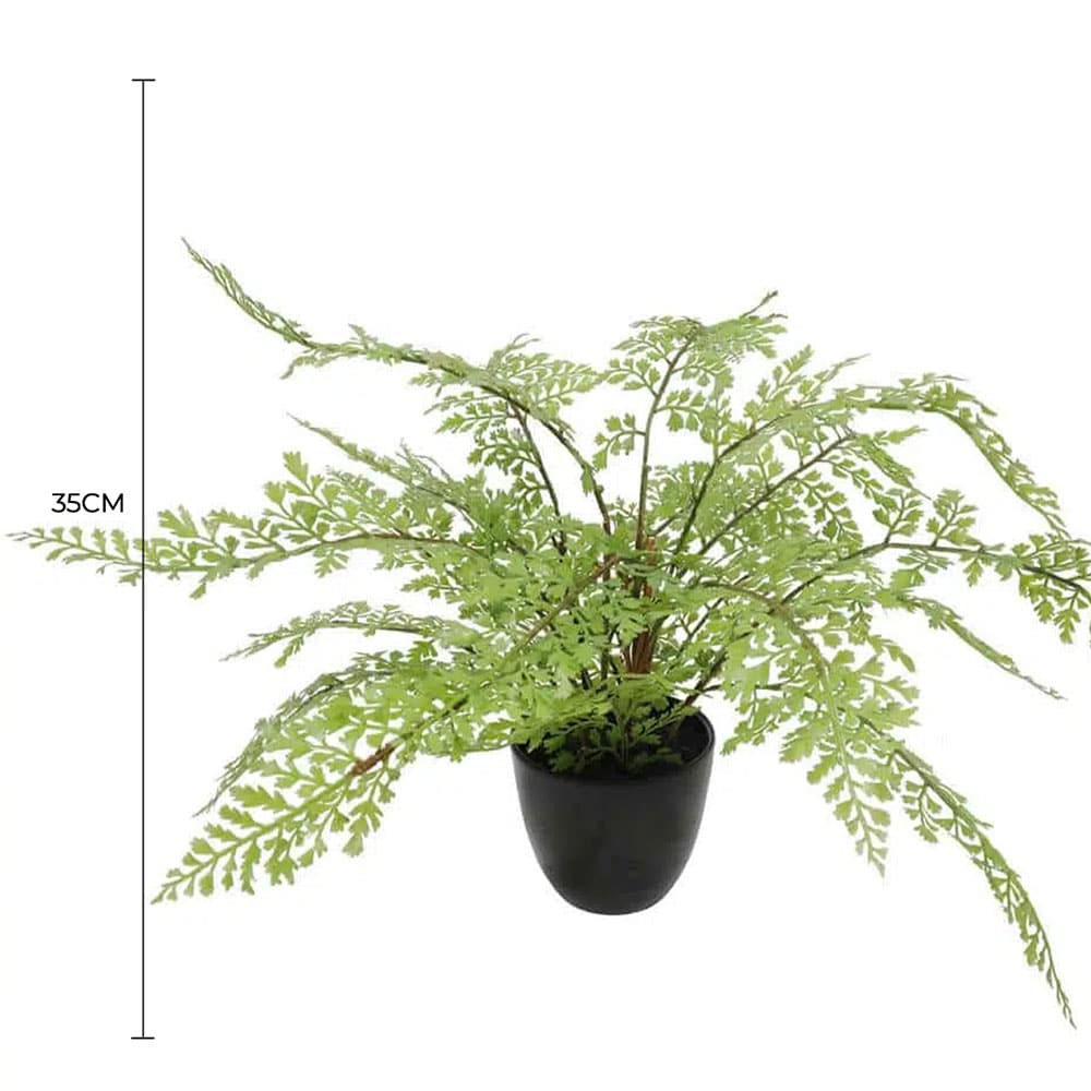 Canopies & Gazebos: Faux Small Potted Fern 35cm