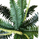 Artificial Trees: Artificial Dark Green Boston Fern 60cm