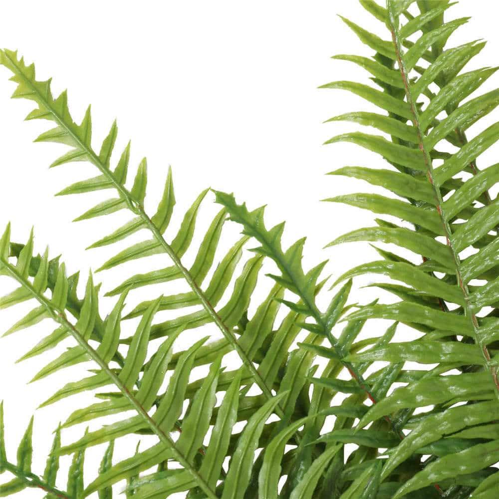Artificial Trees: Artificial Fern (Lady Fern) 50cm UV Resistant