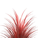 Artificial Trees: Burgundy Potted Artificial Long Grass (Yucca Grass) 115cm UV Resistant