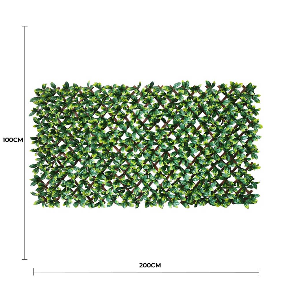 Artificial Hanging Plants: Premium Laurel Leaf Artificial Hedge Extendable Trellis / Screen 2 Meter By 1 Meter UV Resistant (PVC)