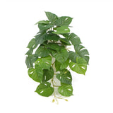 3D Wall Art: Decorative Artificial Monstera Adansonii Plant in Ceramic Bowl 30cm