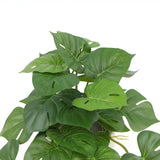 3D Wall Art: Decorative Artificial Monstera Adansonii Plant in Ceramic Bowl 30cm