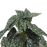 Artificial Potted Plants: Artificial Begonia Maculata Plant In Decorative Bowl 30cm