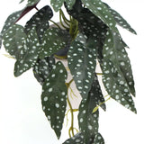 Artificial Potted Plants: Artificial Begonia Maculata Plant In Decorative Bowl 30cm