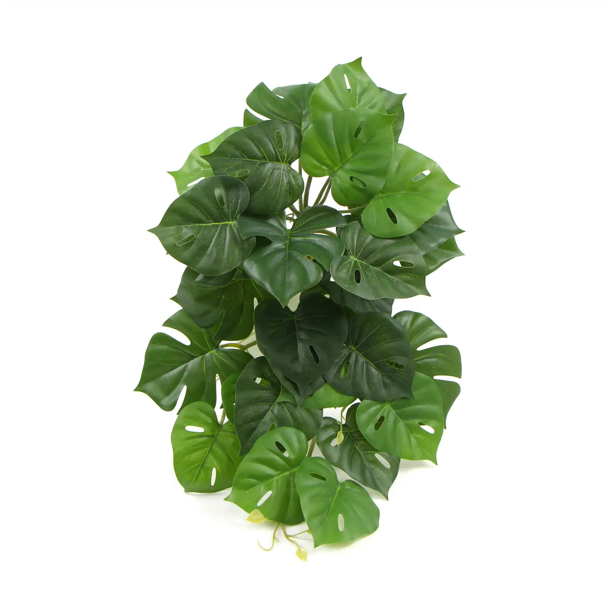Artificial Trees: Artificial Monstera Adansonii Plant 50cm
