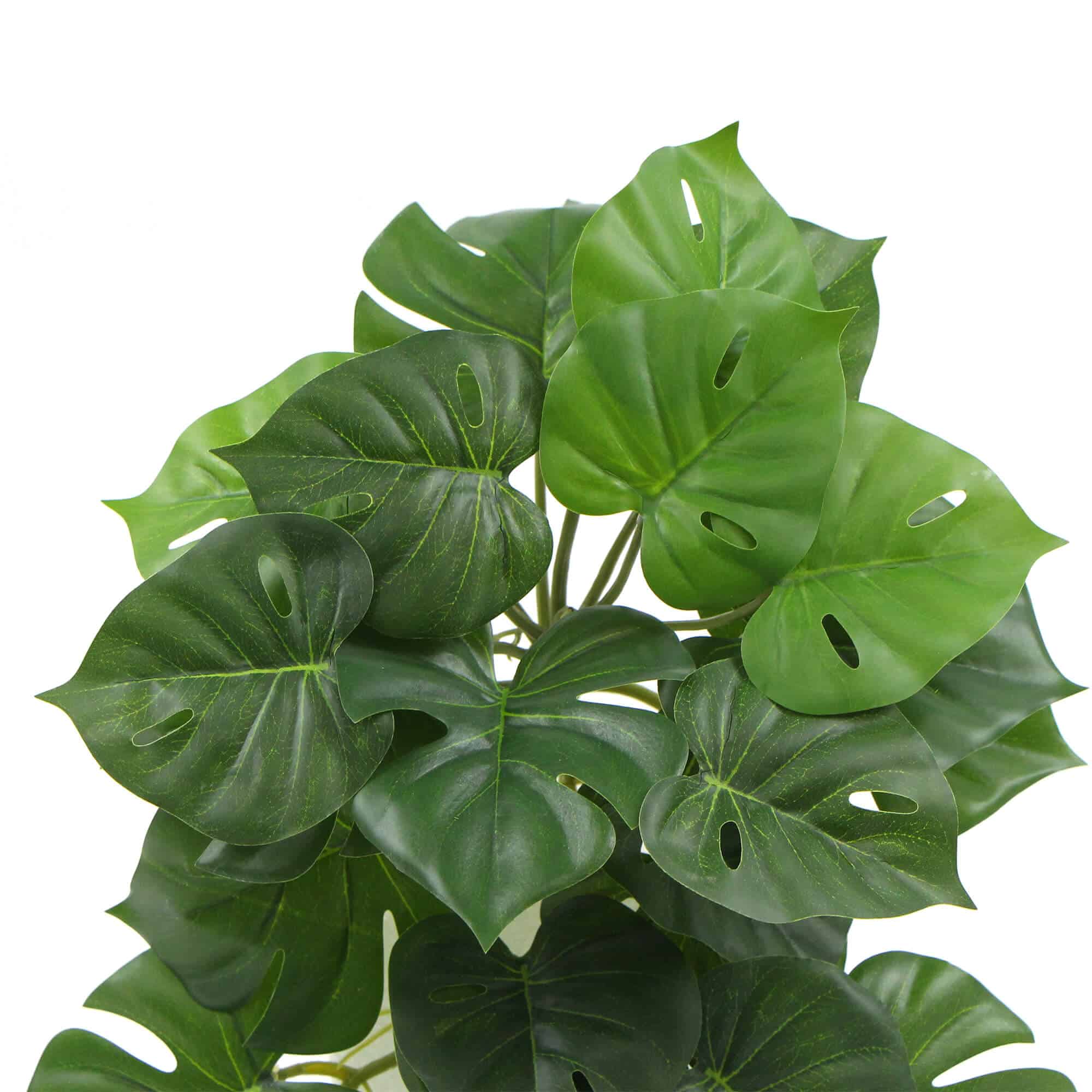 Artificial Trees: Artificial Monstera Adansonii Plant 50cm