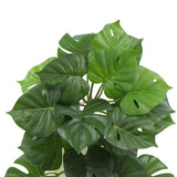 Artificial Trees: Artificial Monstera Adansonii Plant 50cm