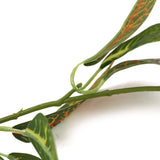 Artificial Hanging Plants: Artificial Croton Vine / Hanging Garland 180cm