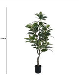 Gymnastics: Artificial Bushy Variegated Ficus Tree (Rubber Tree) 120cm