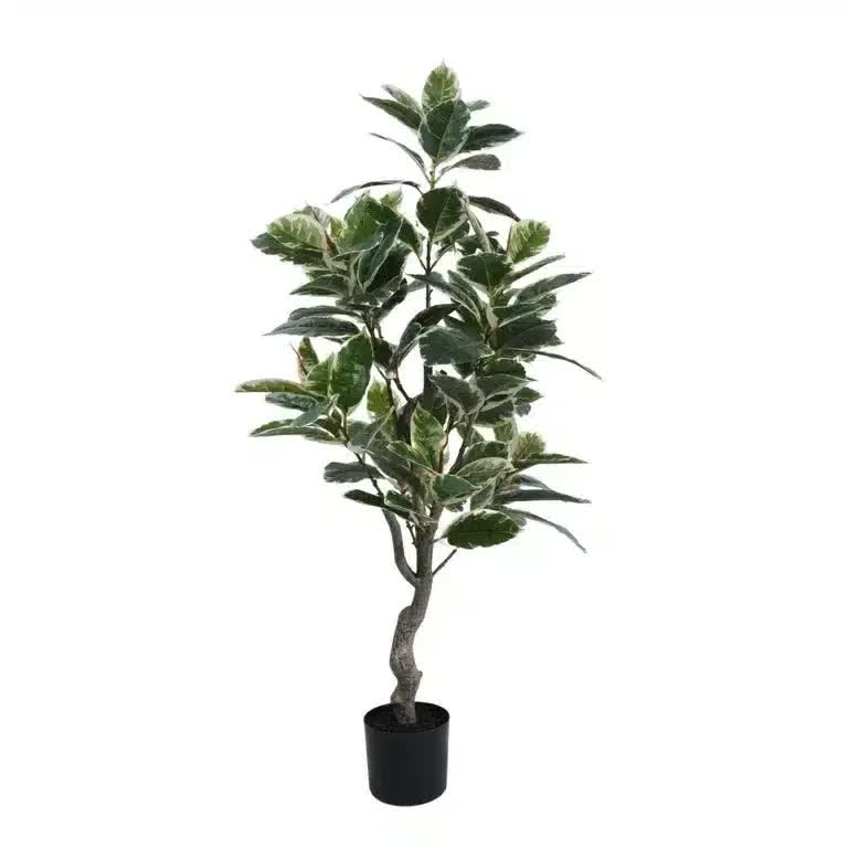 Gymnastics: Artificial Bushy Variegated Ficus Tree (Rubber Tree) 120cm