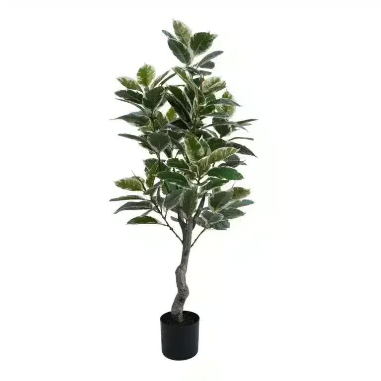 Gymnastics: Artificial Bushy Variegated Ficus Tree (Rubber Tree) 120cm