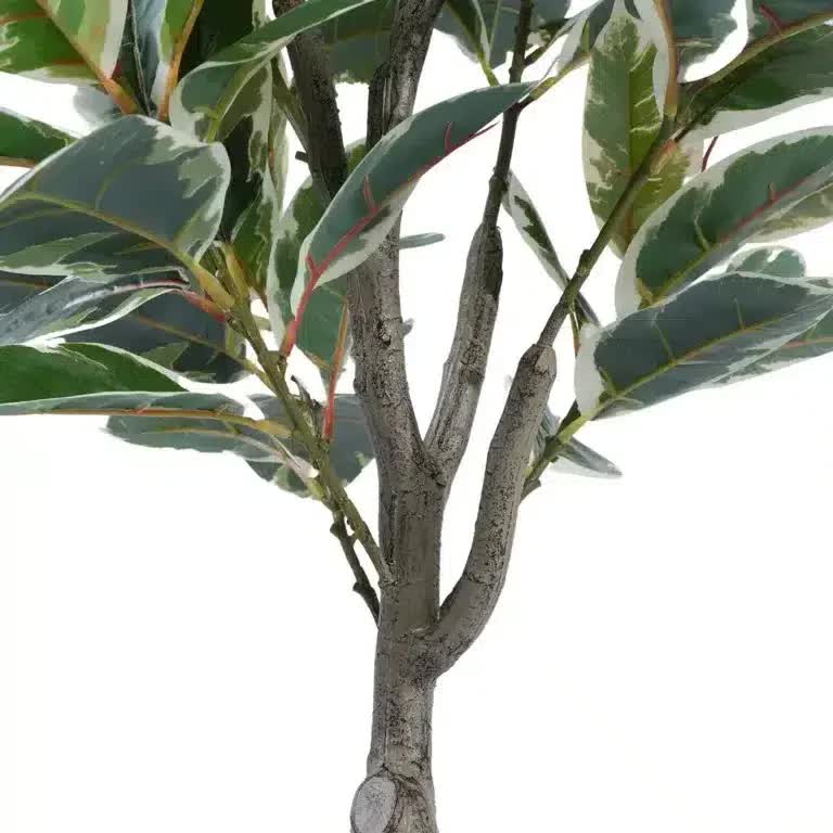 Gymnastics: Artificial Bushy Variegated Ficus Tree (Rubber Tree) 120cm
