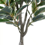 Gymnastics: Artificial Bushy Variegated Ficus Tree (Rubber Tree) 120cm