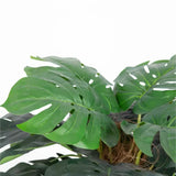 Artificial Trees: Premium Artificial Monstera Deliciosa Tree 100cm
