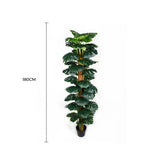 Garden Ornaments: Artificial Monstera Adansonii Money Plant With Decorative Pot 180cm
