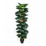 Garden Ornaments: Artificial Monstera Adansonii Money Plant With Decorative Pot 180cm