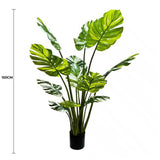 Cooking Ranges: Premium Artificial Potted Monstera Albo 150cm