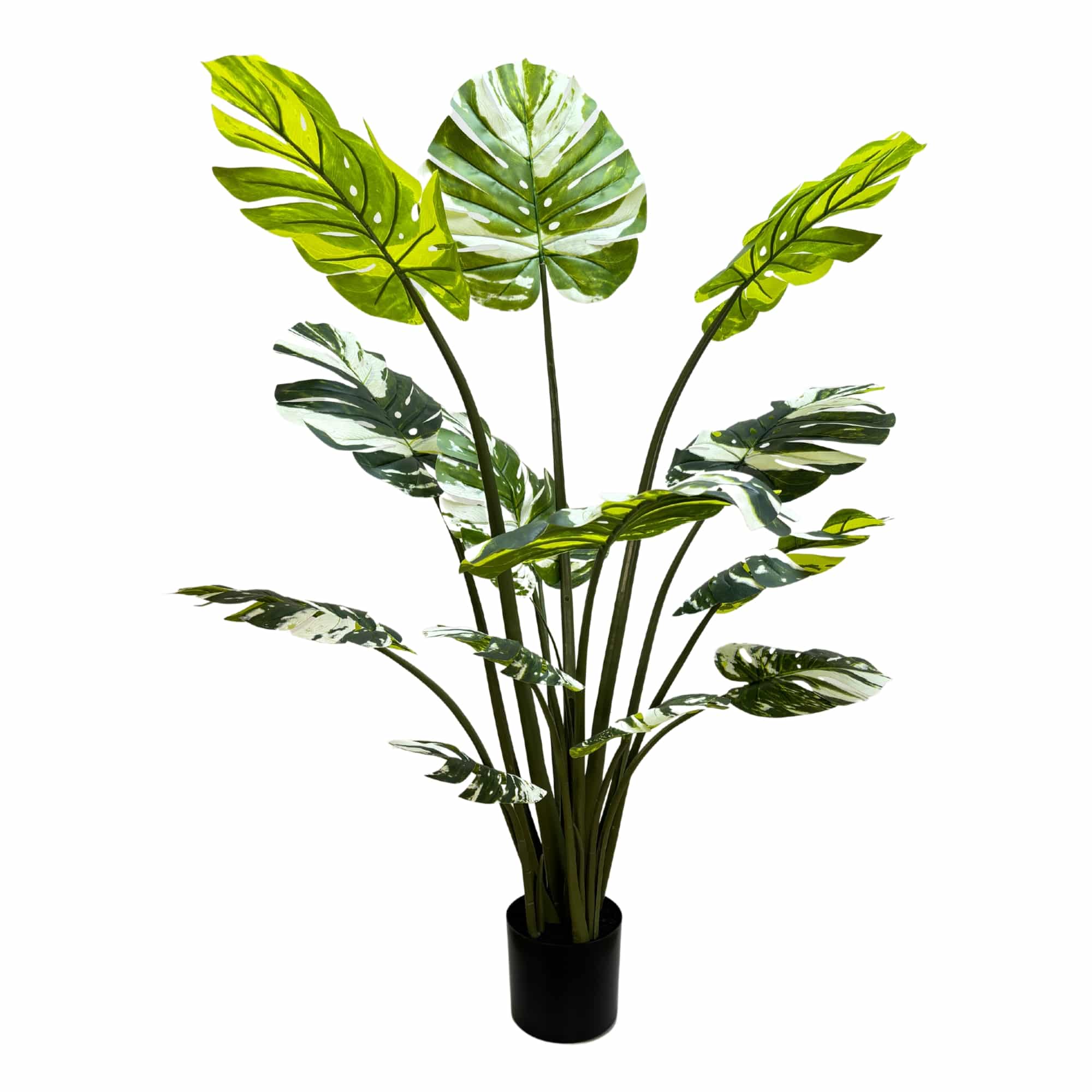 Cooking Ranges: Premium Artificial Potted Monstera Albo 150cm
