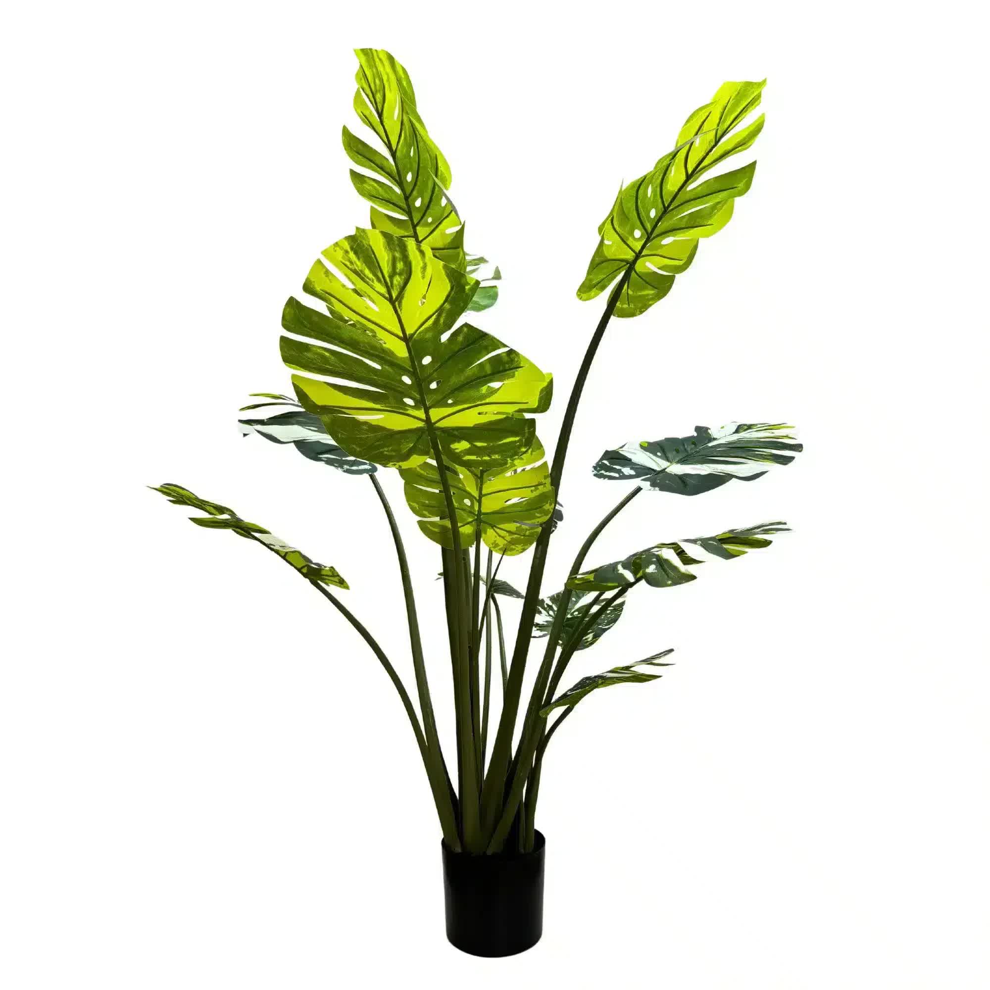 Cooking Ranges: Premium Artificial Potted Monstera Albo 150cm