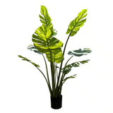 Cooking Ranges: Premium Artificial Potted Monstera Albo 150cm