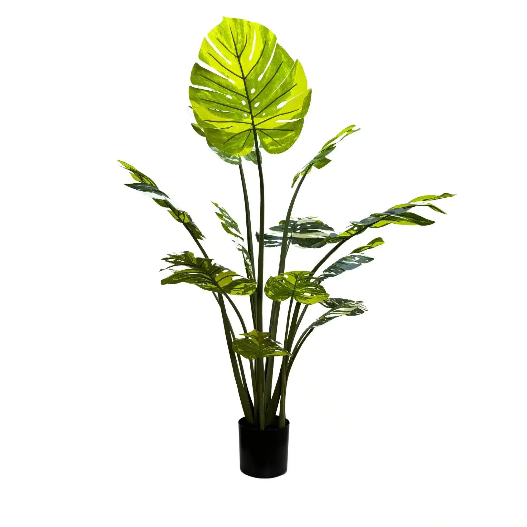 Cooking Ranges: Premium Artificial Potted Monstera Albo 150cm