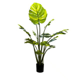Cooking Ranges: Premium Artificial Potted Monstera Albo 150cm