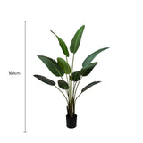 Wellness Accessories: Grand Artificial Potted Travelers Palm (Banana Palm Tree) 160cm