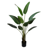 Wellness Accessories: Grand Artificial Potted Travelers Palm (Banana Palm Tree) 160cm
