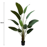 Artificial Trees: Grand Artificial Potted Travellers Palm (Banana Palm Tree) 180cm