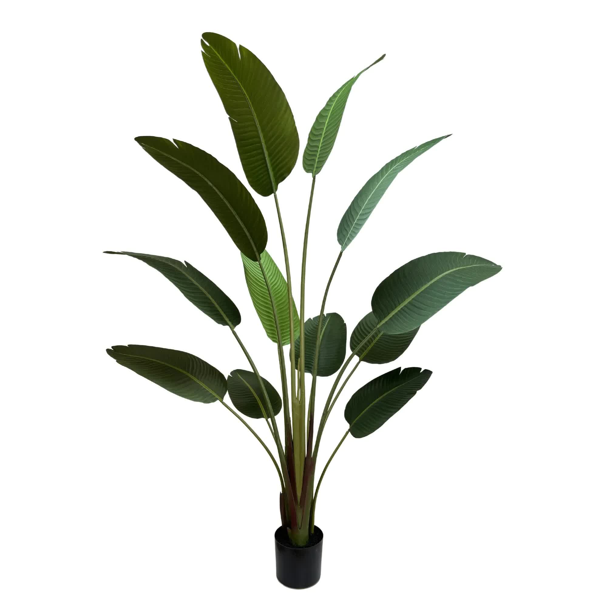 Artificial Trees: Grand Artificial Potted Travellers Palm (Banana Palm Tree) 180cm