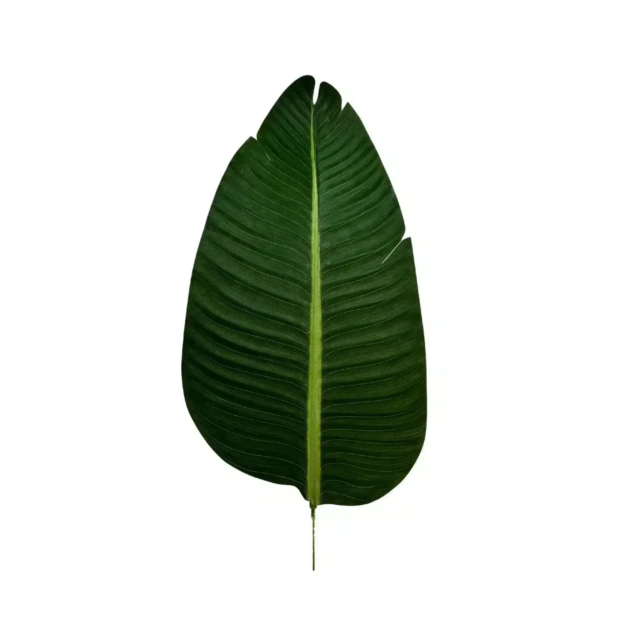 Artificial Trees: Grand Artificial Potted Travellers Palm (Banana Palm Tree) 180cm