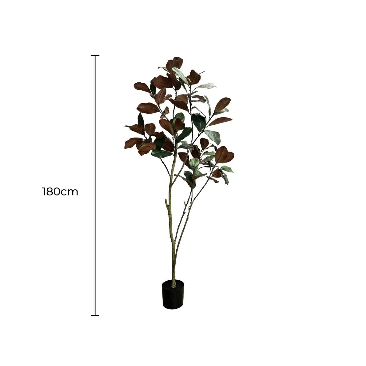 Coffee Tables: Potted Artificial 180cm Magnolia Tree