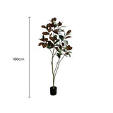 Coffee Tables: Potted Artificial 180cm Magnolia Tree