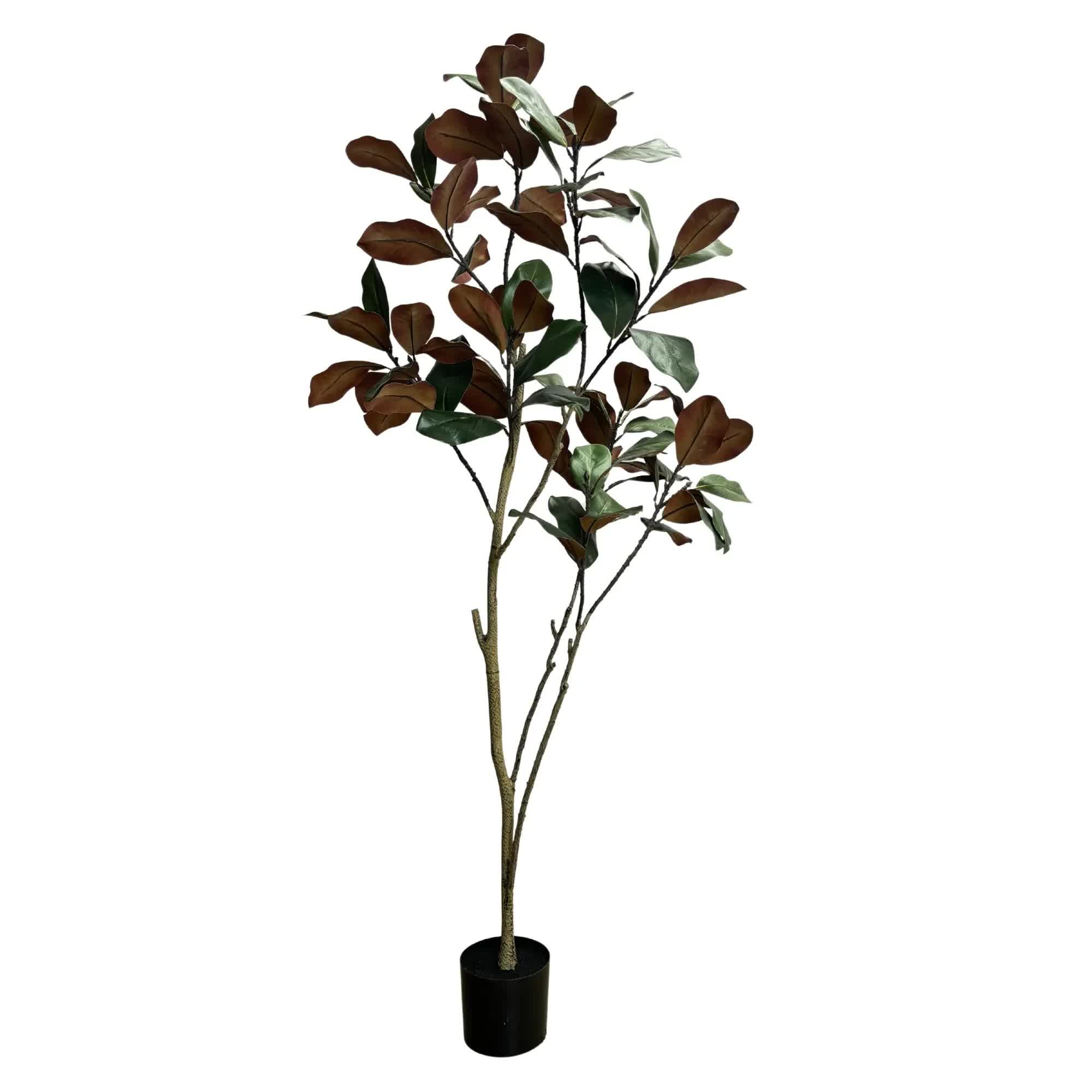 Coffee Tables: Potted Artificial 180cm Magnolia Tree