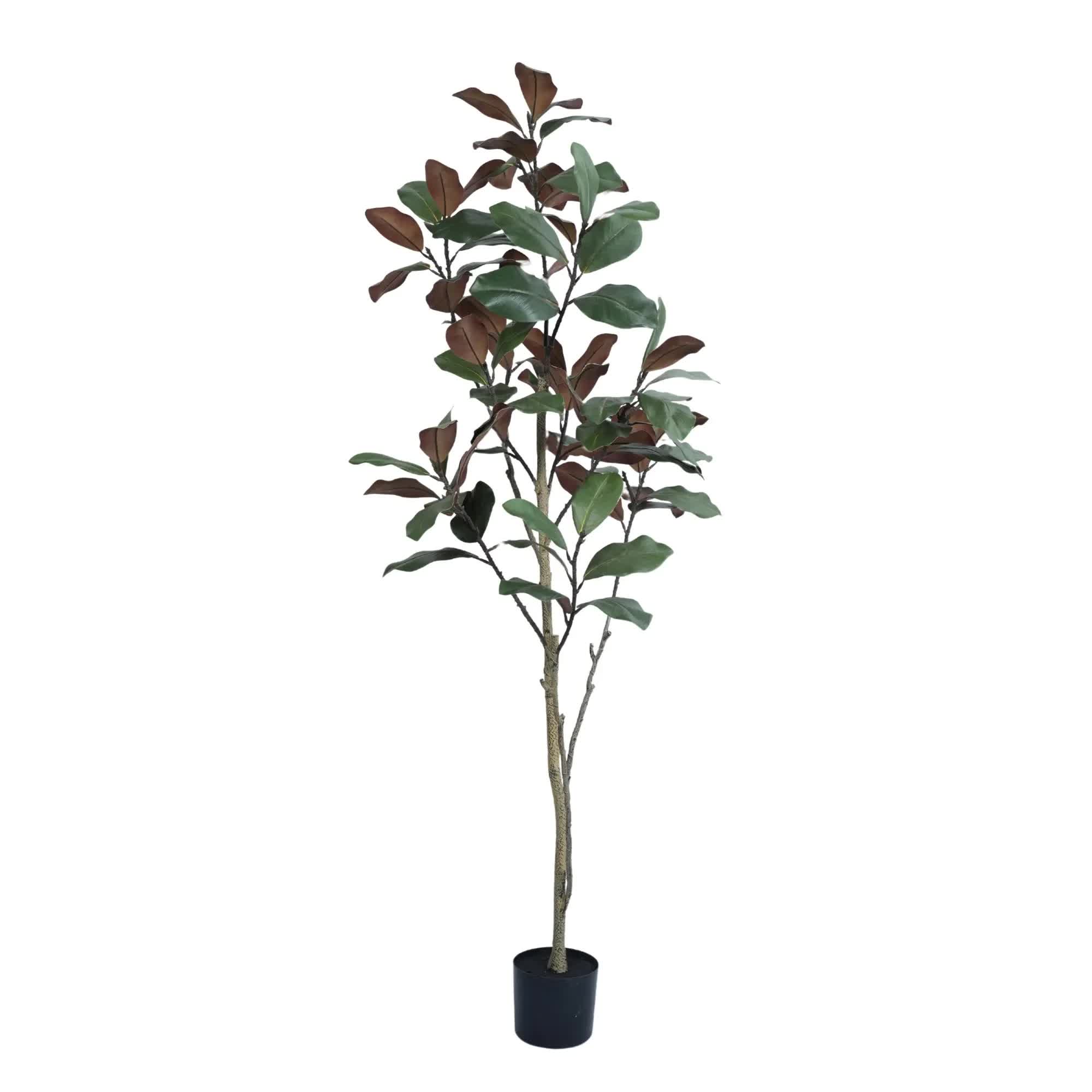 Coffee Tables: Potted Artificial 180cm Magnolia Tree