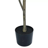 Coffee Tables: Potted Artificial 180cm Magnolia Tree
