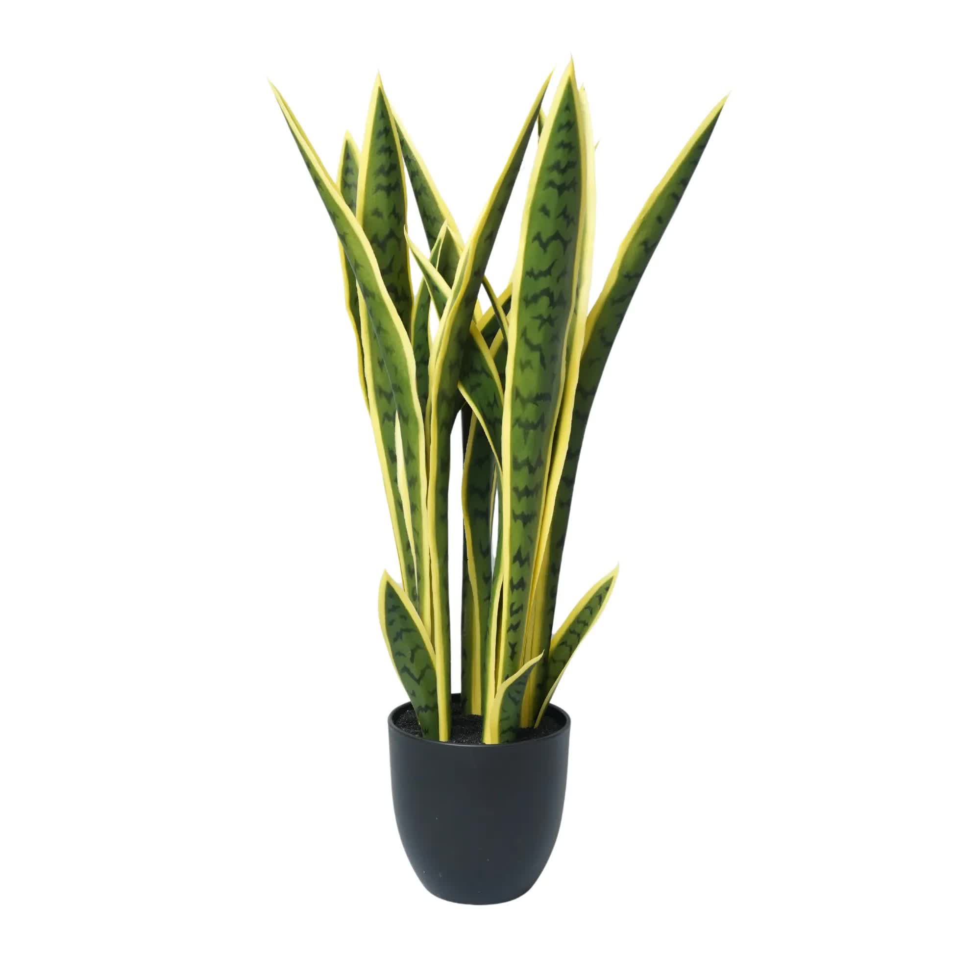 Wellness Accessories: Artificial Mother in Law Tongue / Yellow Tongue Sansevieria UV Resistant 60cm
