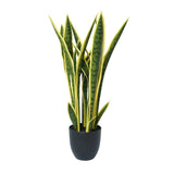 Wellness Accessories: Artificial Mother in Law Tongue / Yellow Tongue Sansevieria UV Resistant 60cm