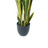 Wellness Accessories: Artificial Mother in Law Tongue / Yellow Tongue Sansevieria UV Resistant 60cm