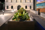Wellness Accessories: Artificial Mother in Law Tongue / Yellow Tongue Sansevieria UV Resistant 60cm