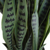 Artificial Trees: Artificial Snake Plant Sansevieria UV Resistant 90cm
