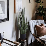 Artificial Trees: Artificial Snake Plant Sansevieria UV Resistant 90cm