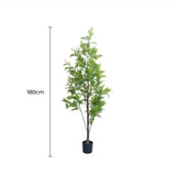 Artificial Trees: Premium Real Touch Artificial Bracken Palm Tree 180cm