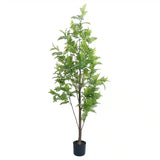 Artificial Trees: Premium Real Touch Artificial Bracken Palm Tree 180cm