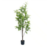 Artificial Trees: Premium Real Touch Artificial Bracken Palm Tree 180cm