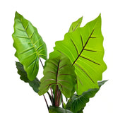 Artificial Trees: Nearly Natural Artificial Taro Elephant Ear Palm 170cm